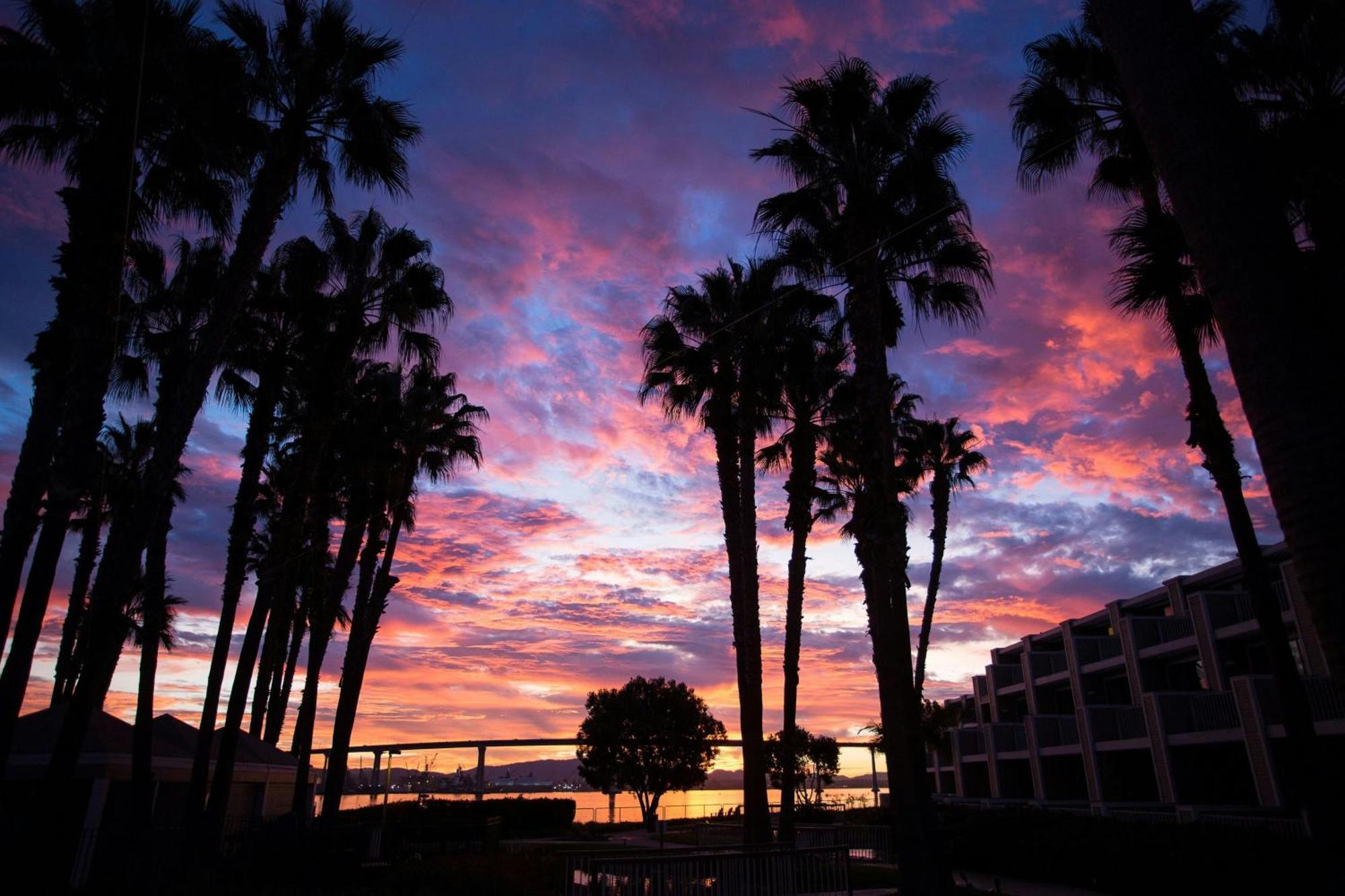 Coronado Island Marriott Resort & Spa Σαν Ντιέγκο Εξωτερικό φωτογραφία